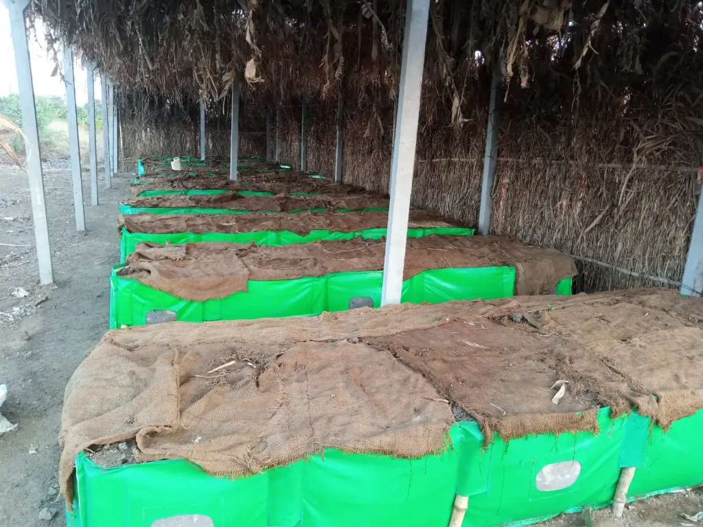 HDPE VERMICOMPOST BED 12*4*2 FEET Size