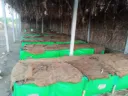 HDPE VERMICOMPOST BED 12*4*2 FEET Size
