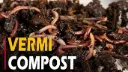 Vermicompost